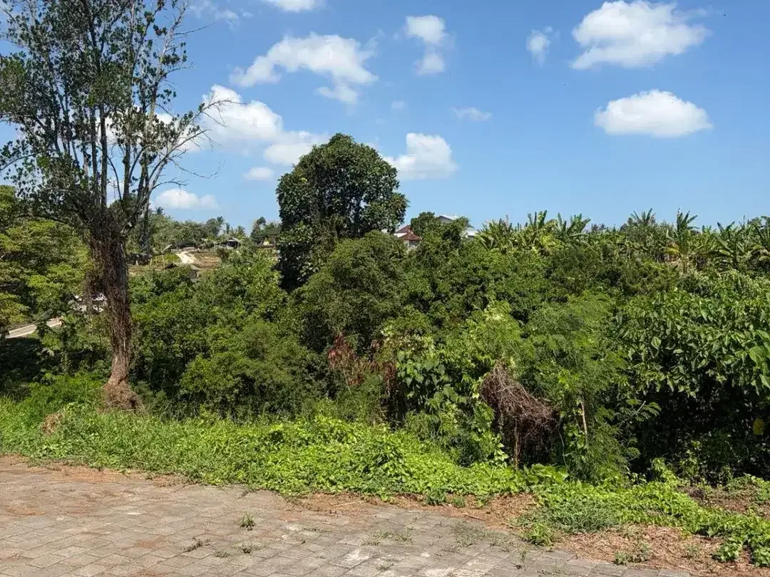 DI JUAL TANAH ZONA KUNING KEDUNGU DEKAT CANGGU VIEW SAWAH - Image 5 of 6
