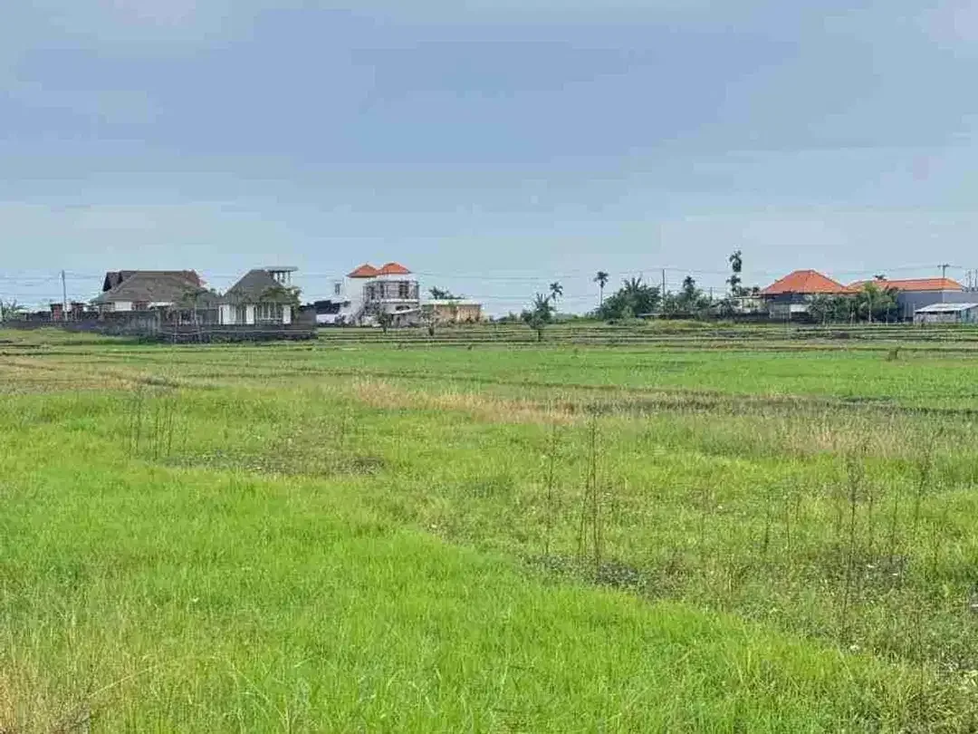 Tanah View Sawah dan Sunset Dekat Pantai Seseh Bali - Image 9 of 10