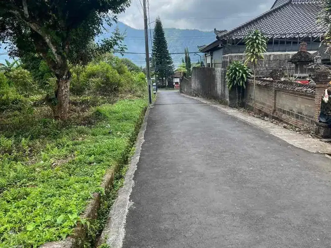 Dijual tanah lokasi PREMIUM di bedugul ( sebelah hotel the danau bedugul ) - Image 5 of 10
