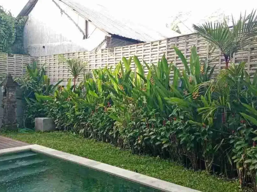Di jual villa baru sangat bagus dekat dengan resto minimarker dll cocok untuk komersil - Image 3 of 6