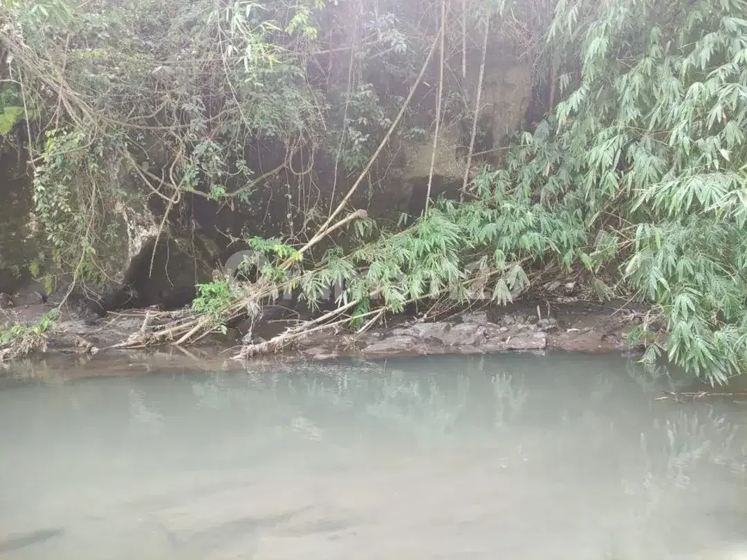 Dijual Cepat Tanah Pinggir Jalan Utama Investasi Komersial di Gianyar - Image 8 of 10