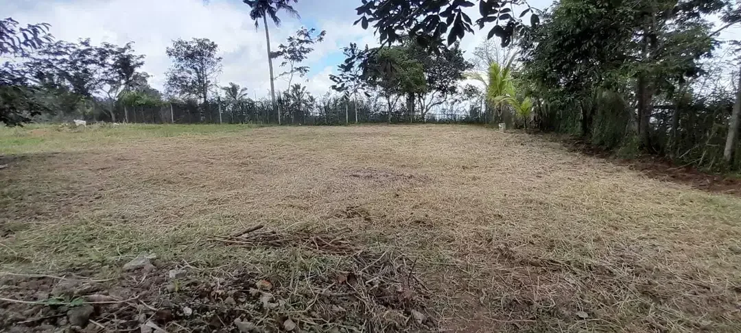 Plantation land with mountain and valley views in Baturiti Bali - Image 9 of 10