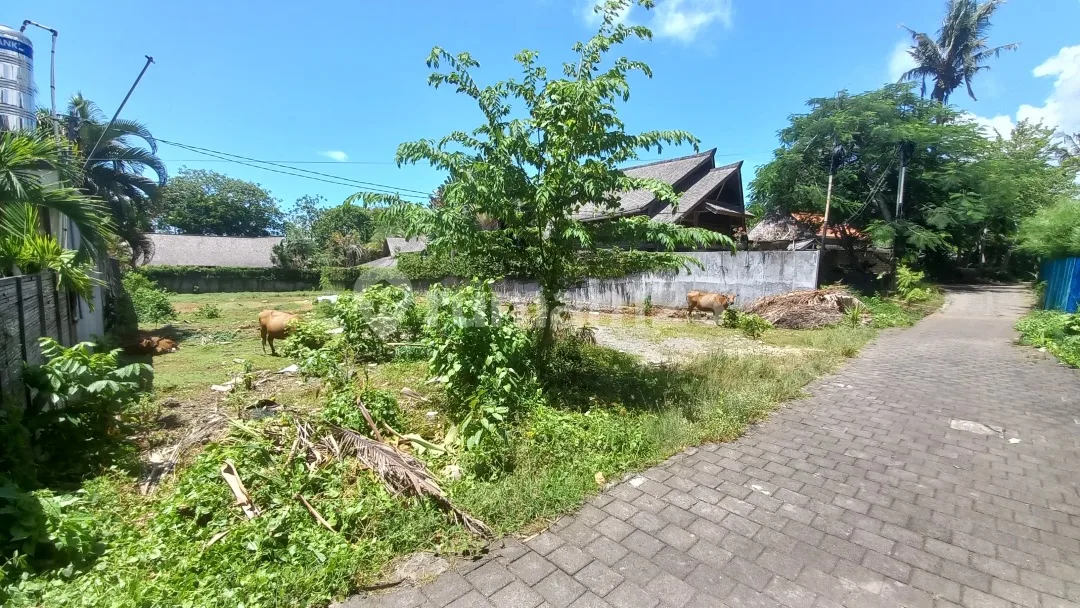 Tanah 13.5 Are Jln Veteran Tiyingtutul Canggu - Image 2 of 4