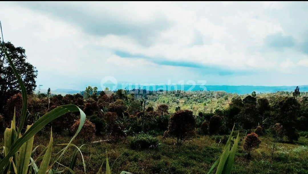 Magnificent Views Investment Opportunity Freehold Land With Unobstructed Views In Gesing - Image 3 of 4
