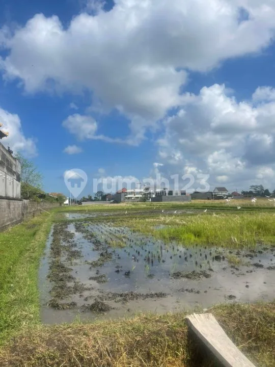 Tanah, 3170M2, Shm,Di Jalan Pantai Seseh Cemagi - Image 4 of 4