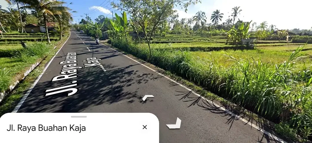 Tanah Murah sebelah Villa Awan Biru Ubud - Image 3 of 5