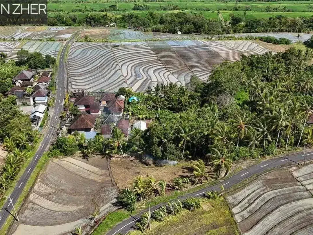 Tanah murah jarang ada view sawah cocok untuk homestay,villa karena dekat pantai di beraban tabanan - Image 2 of 10