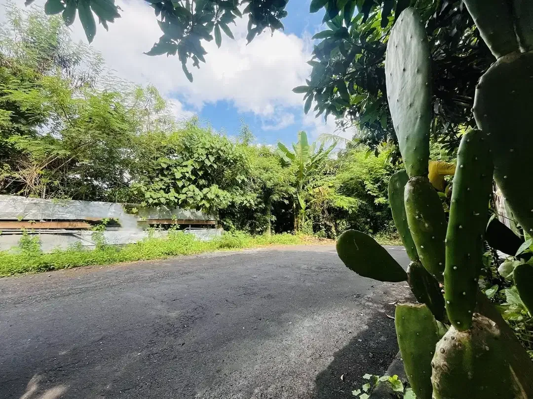 DIJUAL TANAH PERUMAHAN KETEWEL GIANYAR BALI - Image 9 of 10