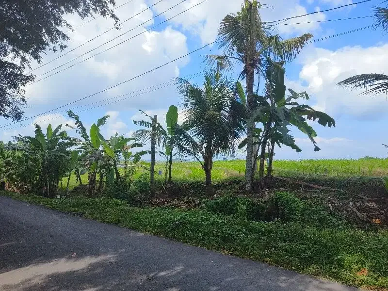 Dijual tanah murah los  sungai bebatuan dan view sawah ddi bali. - Image 9 of 10
