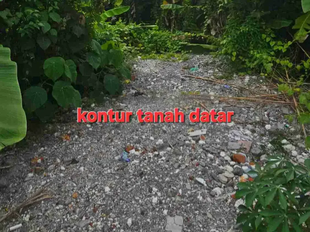 Jual tanah 10are area PANTAI MERTASARI SANUR Bali - Image 5 of 6