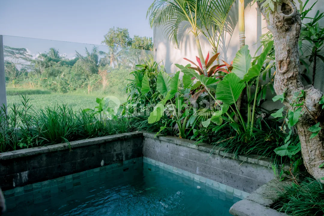 Termurah Cocok untuk Investasi Villa Ubud Bali Passive Income - Image 3 of 4