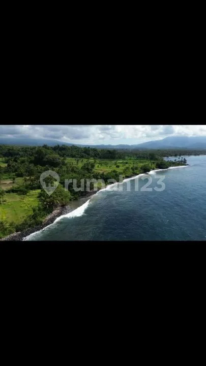 Dijual Tanah 2 Hektar Front Beach Virgin - Image 4 of 4