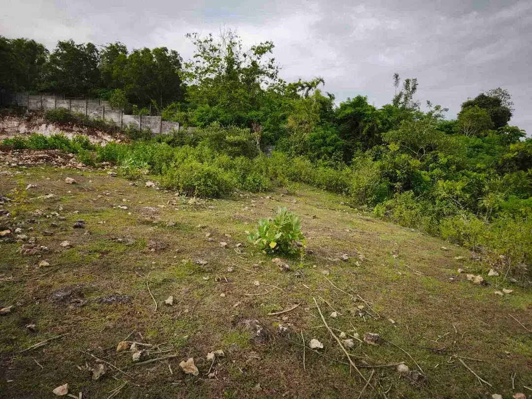 dijual tanah 400m² IDR 650 jutaper are dekat rektorat kampus unud jimbaran - Image 9 of 10