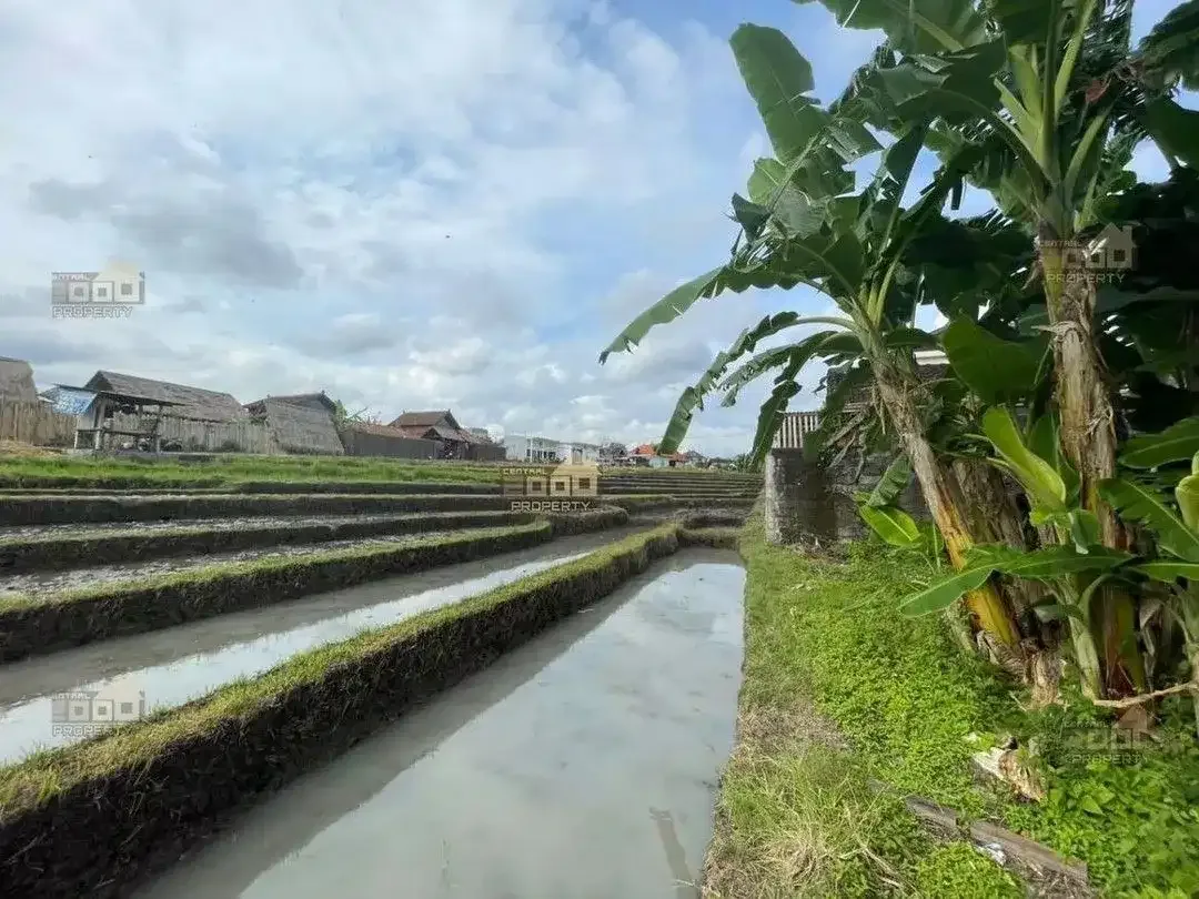 Freehold Land Canggu – Lokasi Strategis & Scenic Ricefield View - Image 10 of 10