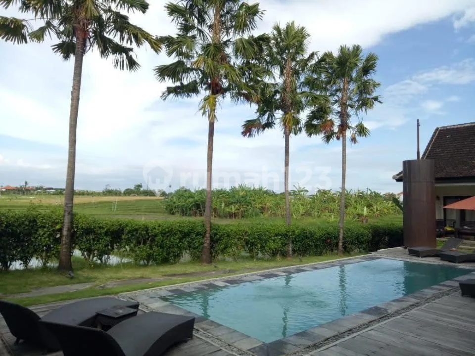 Dijual Villa di Canggu, Semat Berawa, Kuta Utara - Image 3 of 4