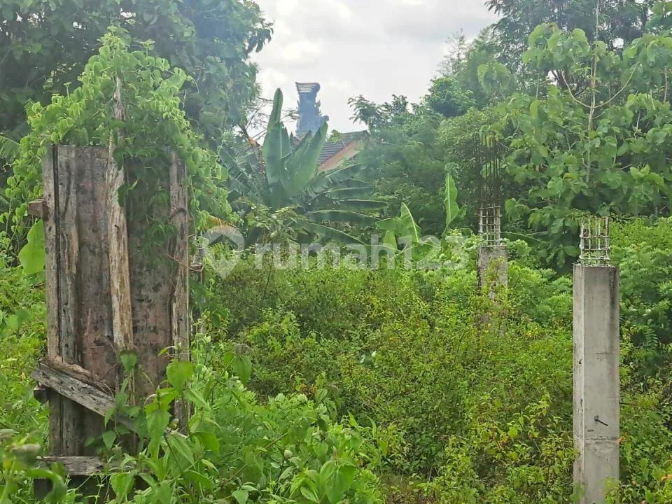 Tanah Murah Kutuh Ungasan Kuta Selatan Badung - Image 4 of 4