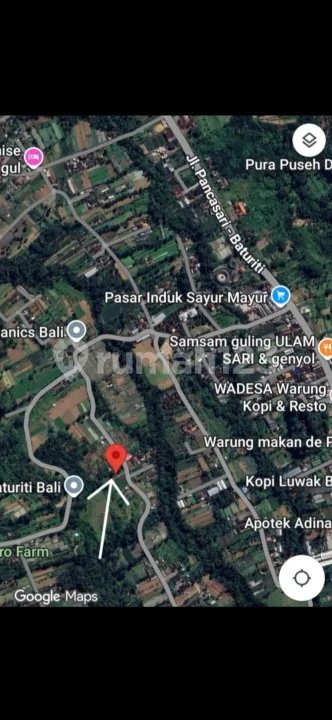 Dijual Tanah Datar dan Murah Diarea Strategis Hanya 5 Menit ke Pasar Tabanan Bali - Image 2 of 4