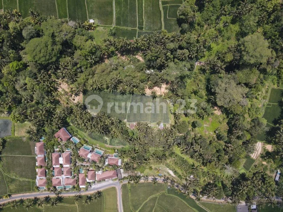 Dijual Tanah Tegallalang Ubud - Image 3 of 4