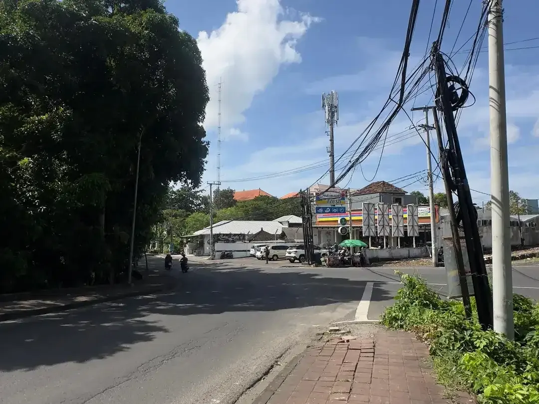 Dijual Tanah Komersial Jl Raya Kampus Udayana Jimbaran - Image 5 of 10
