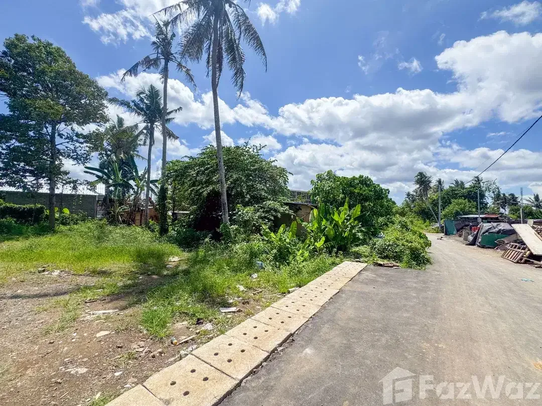 Land for sale in Ubud, Bali - Image 4 of 4