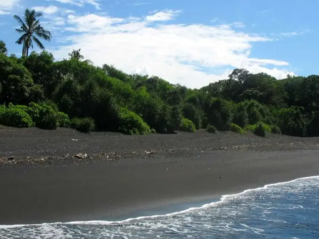 DIJUAL TANAH STRATEGIS PINGGIR PANTAI DI BALI - Image 3 of 10