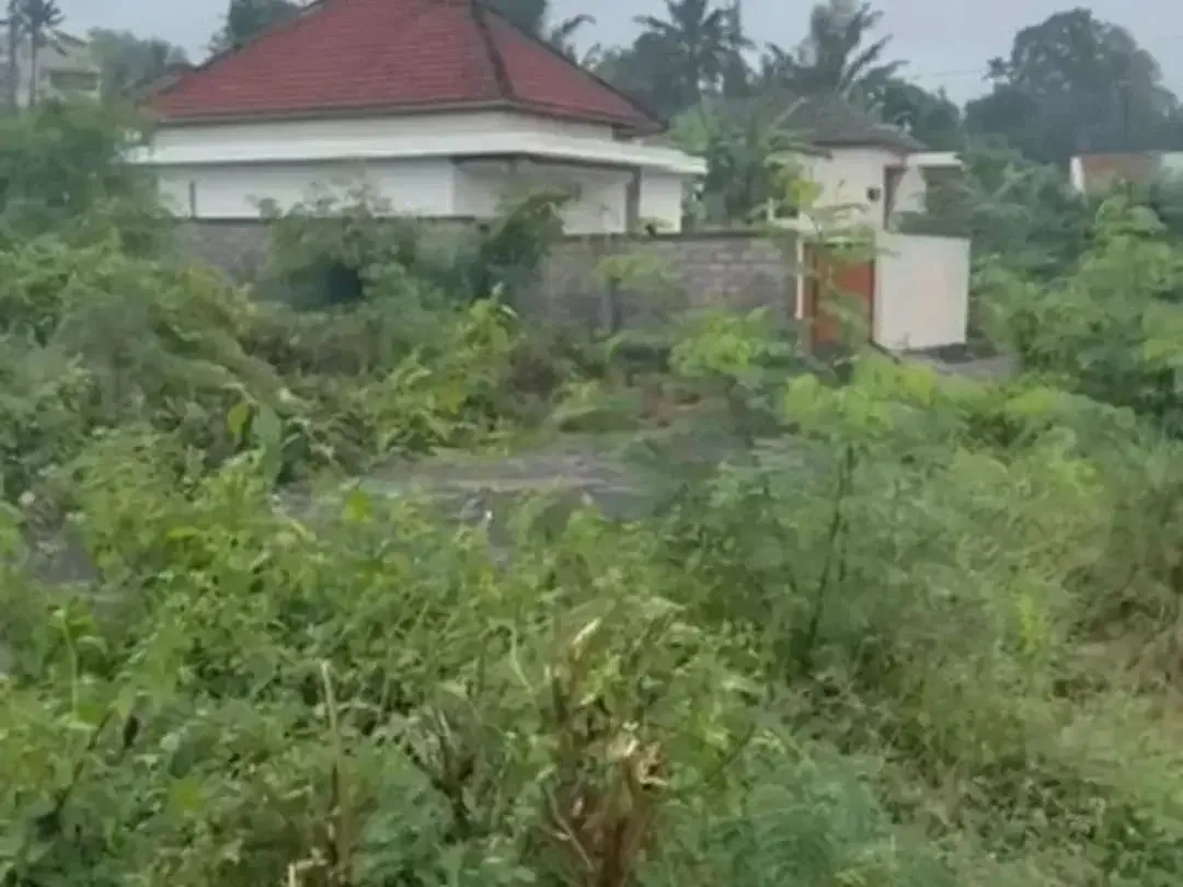 Dijula Tanah Blahbatu Gianyar Dekat Pantai - Image 5 of 6