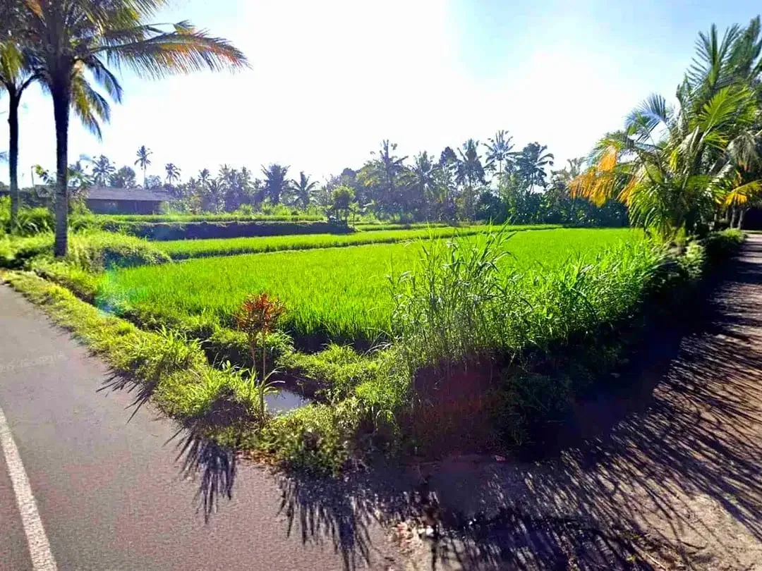 Tanah Riverside Buahan Ubud 500 mtr Hanging Garden hotel - Image 5 of 10