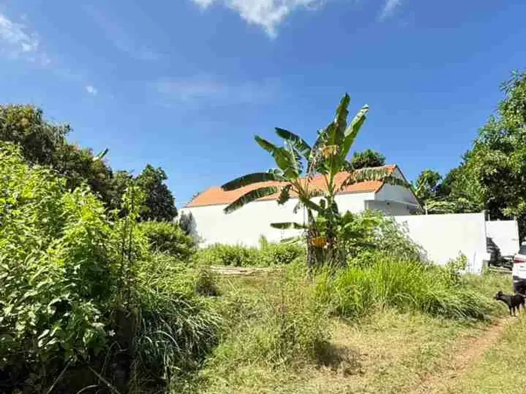 Dijual Murah  Tanah 200m2 Cocok Untuk Invest Di Kuta Selatan - Image 8 of 10