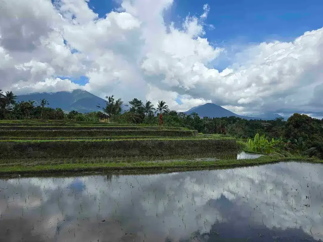 Dijual tanah view sawah dan gunung laut di bali - Image 6 of 10