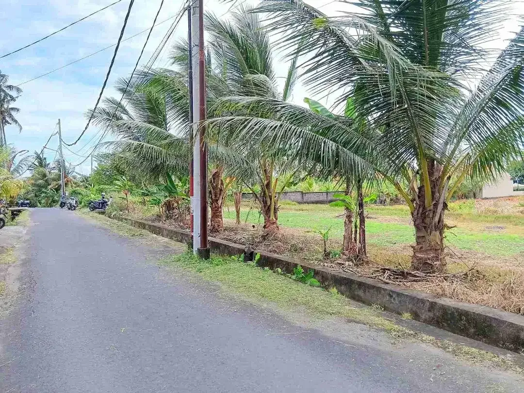 Tanah View sawah kemenuh Ubud - Image 2 of 7