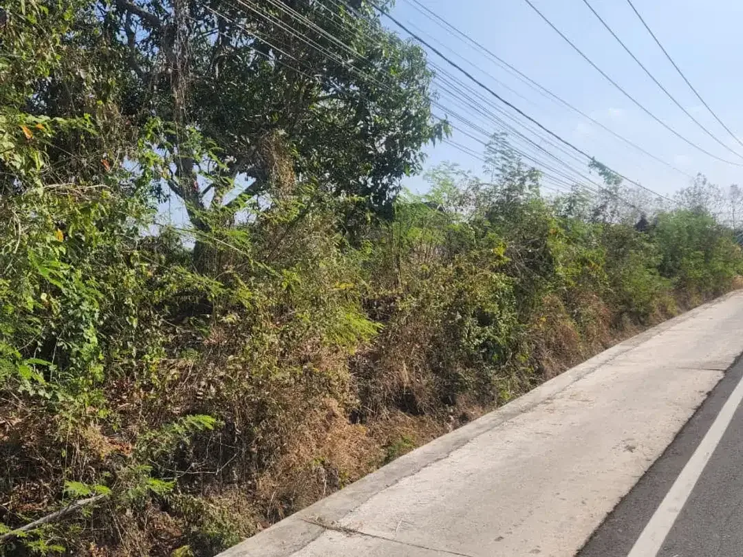 Tanah Industri 94 Are di Lelateng, Pengambengan – SHM & Zona Industri, Siap Dikembangkan - Image 7 of 10