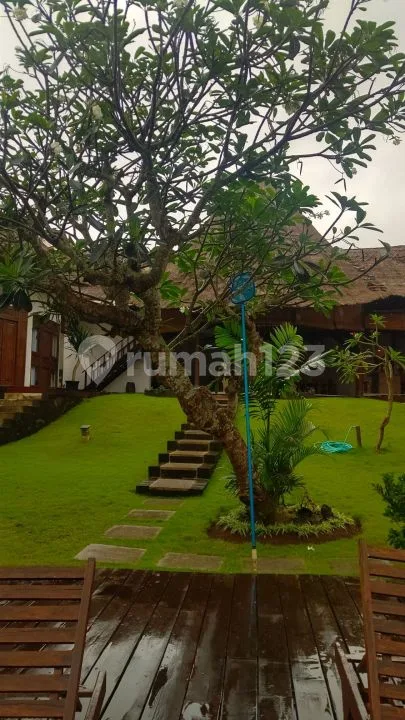 Full Furnished, Villa Asri Dan Nyaman Di Dekat Canggu - Image 4 of 4