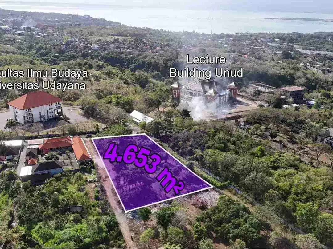 Tanah Murah 4.653m² Akses Jalan Besar Jimbaran - Image 3 of 10