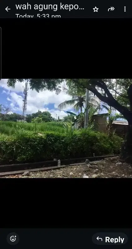 Dijual di Siyut Jln Bay Pas IB Mantra - Image 2 of 5