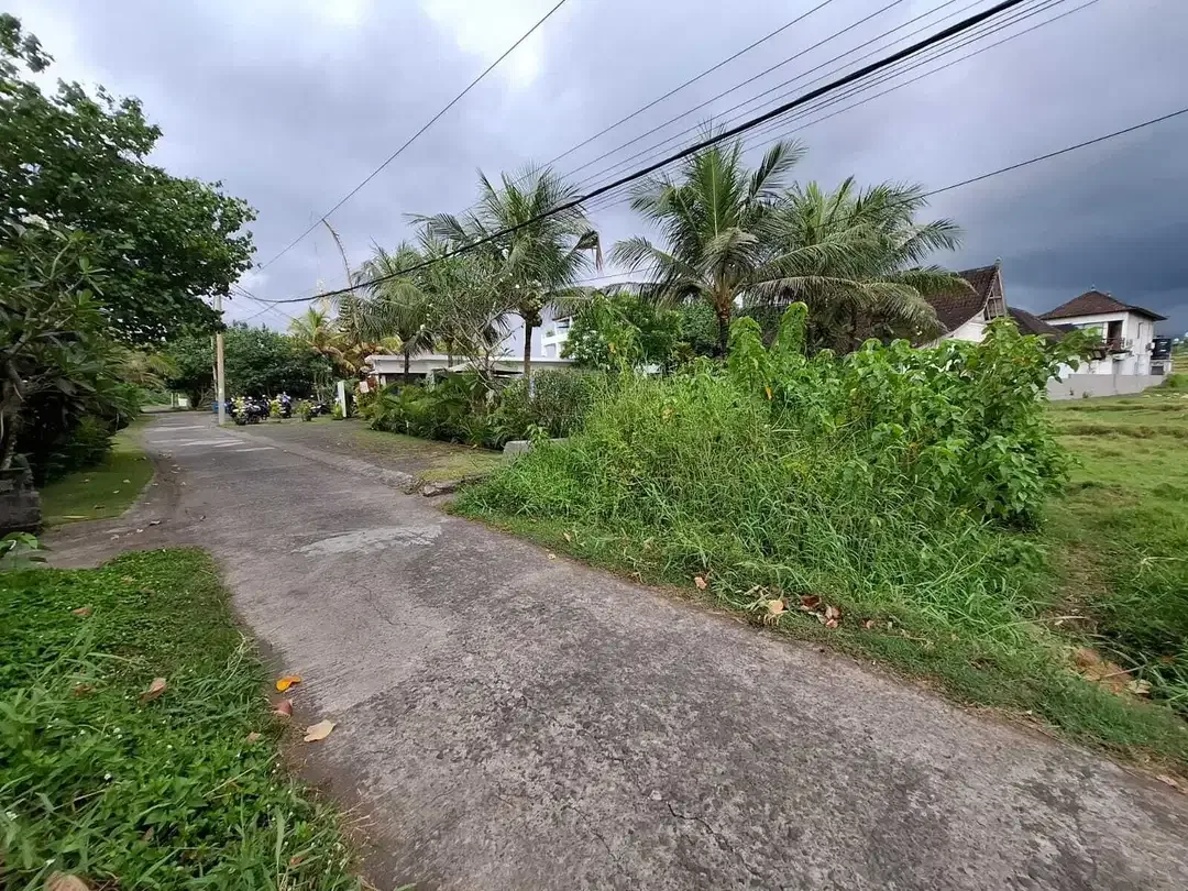 Jual tanah los pantai di pantai surfing medewi - Image 1 of 9