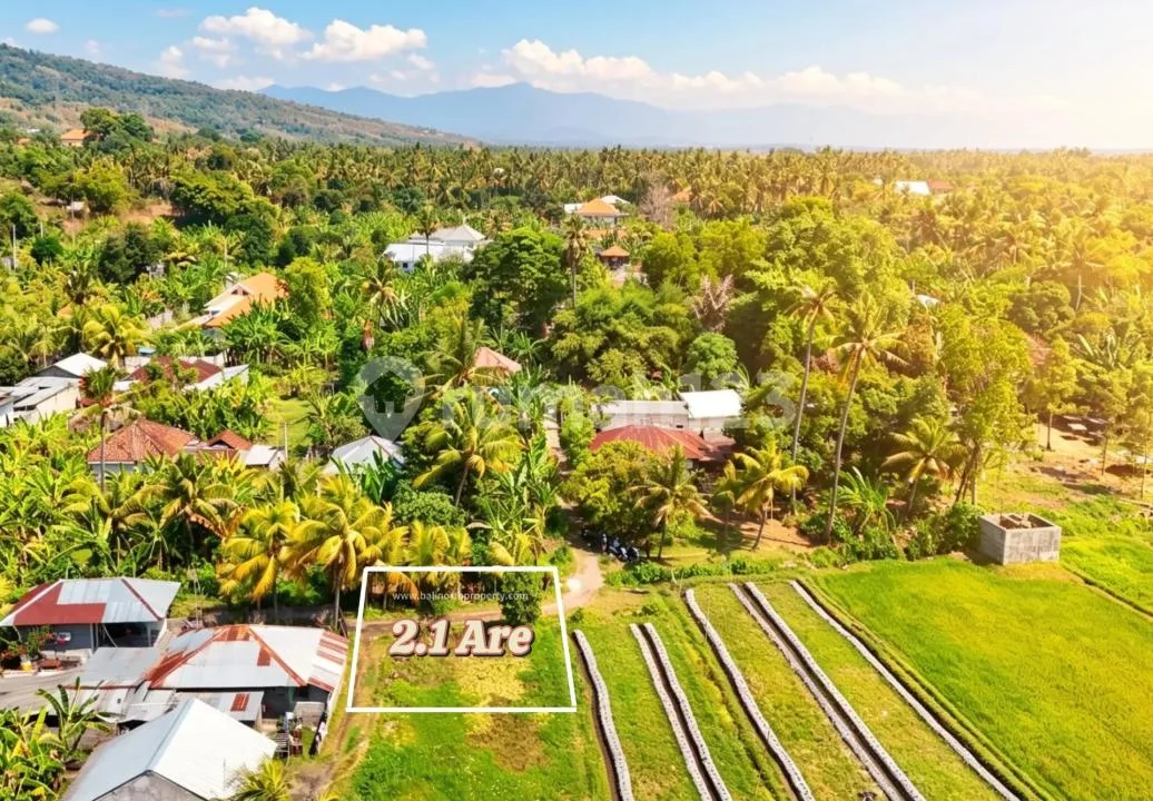 Tanah Premium View Sawah Dijual - Lovina, Bali Utara - Image 2 of 4