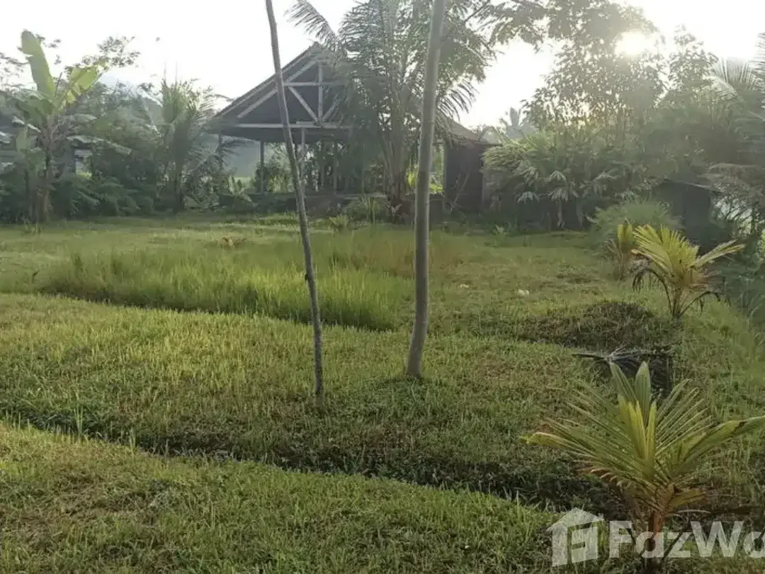 Land for sale in Ubud, Bali - Image 5 of 5
