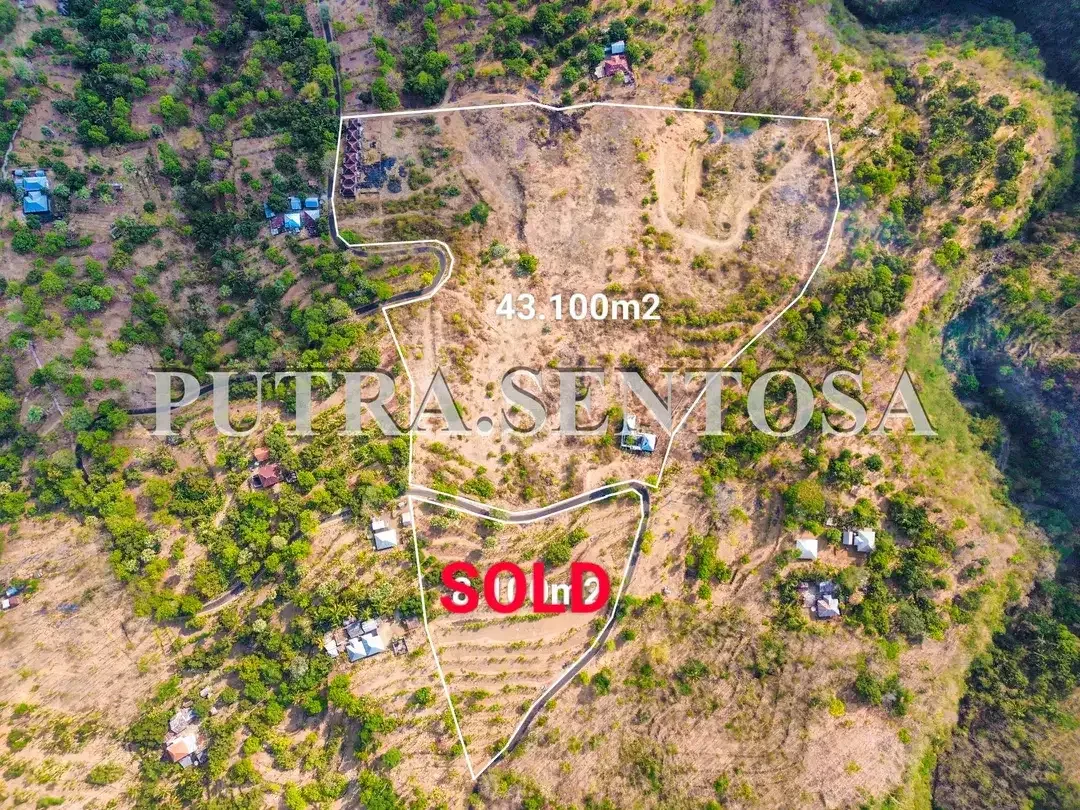 TANAH SINGARAJA BALI DEKAT BANDARA BARU OCEAN VIEW, BONUS VILLA - Image 4 of 10