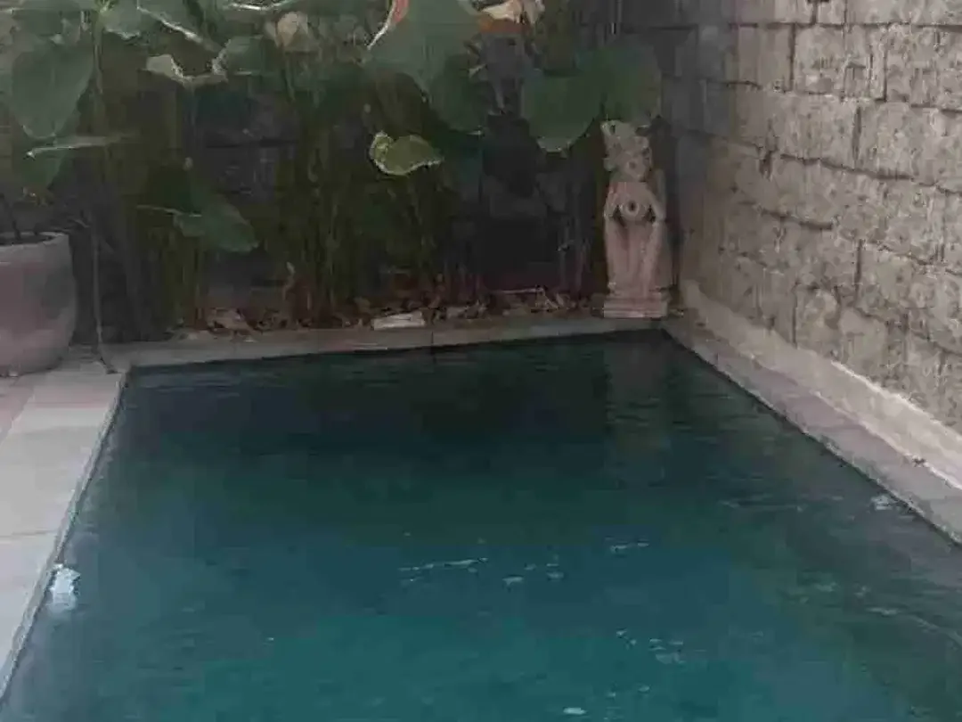 Di jual rumah baru nuansa villa jalan Tukad Bilok , Sanur , Denpasar, Bali - Image 10 of 10