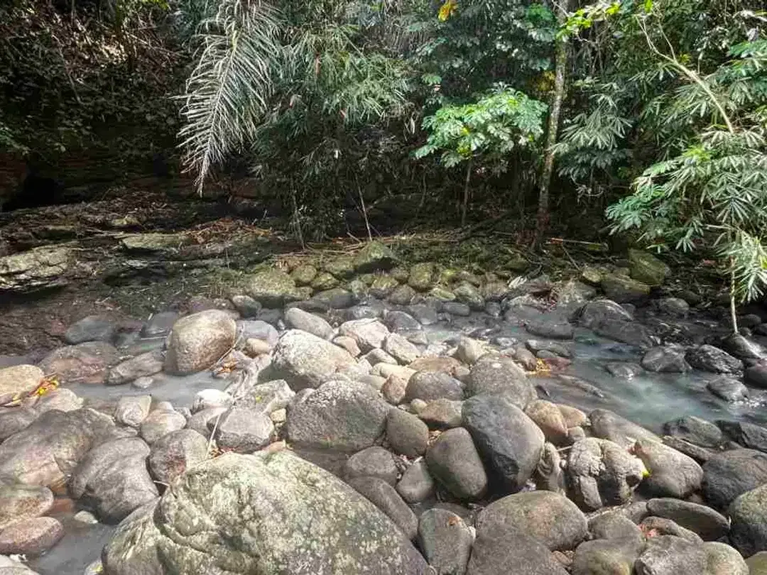 jual tanah kebun view sungai eksotik dan view junggle yang asri di tabanan bali. - Image 3 of 10