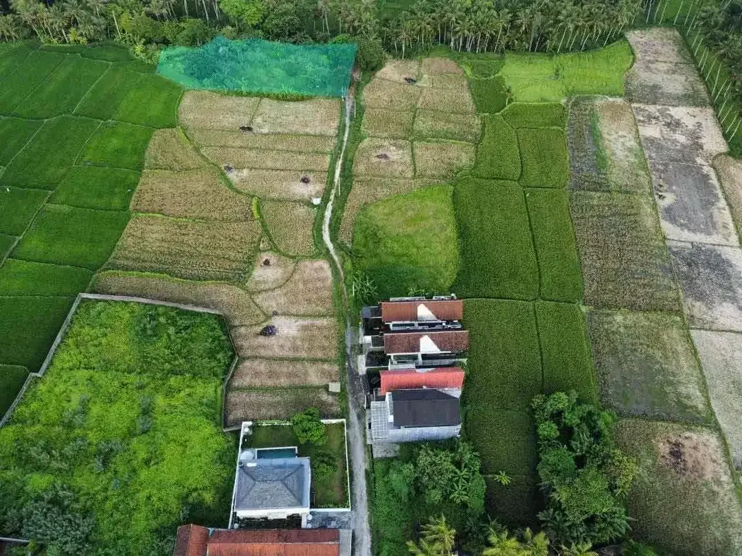 TANAH VIEW SAWAH DAN SUNGAI LOKASI LOT TUNDUH UBUD - Image 8 of 10