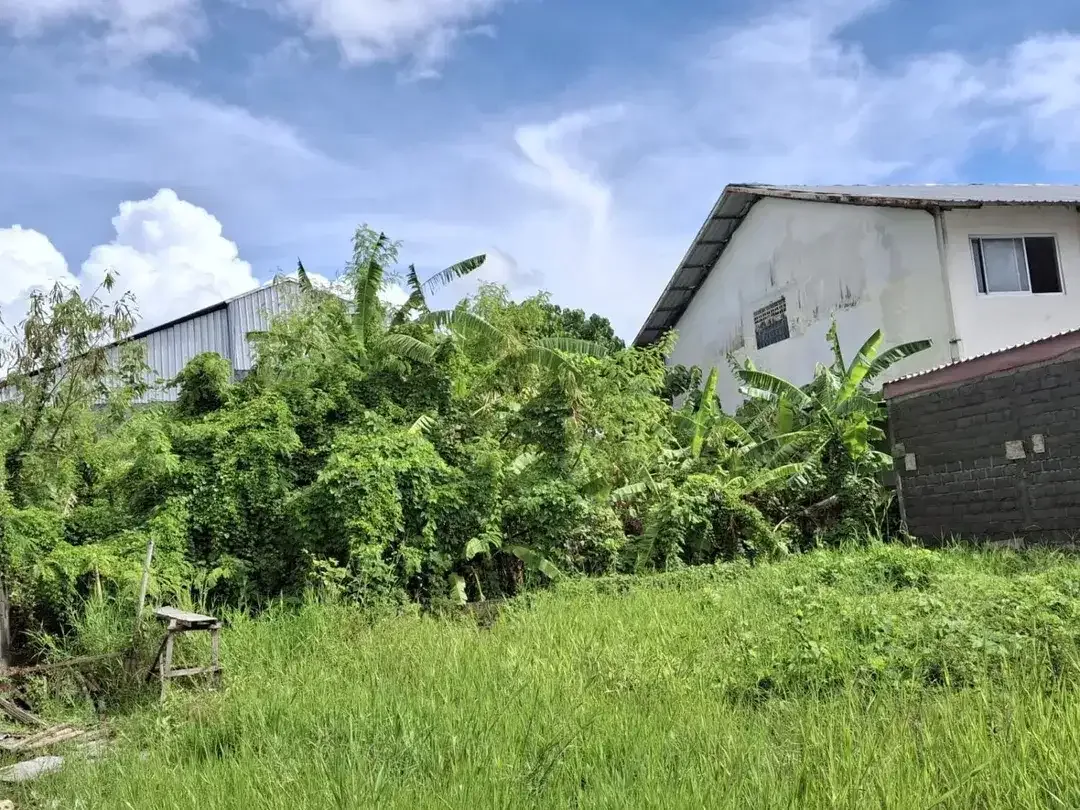 215 sqm Prime Leasehold Land Near Bajra Sandi Monument – Renon, Denpasar - Image 8 of 8