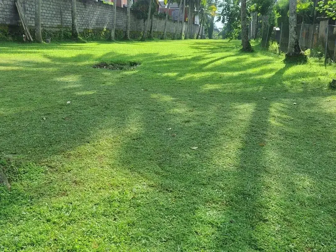 Land for sale in Ubud, Bali - Image 3 of 6