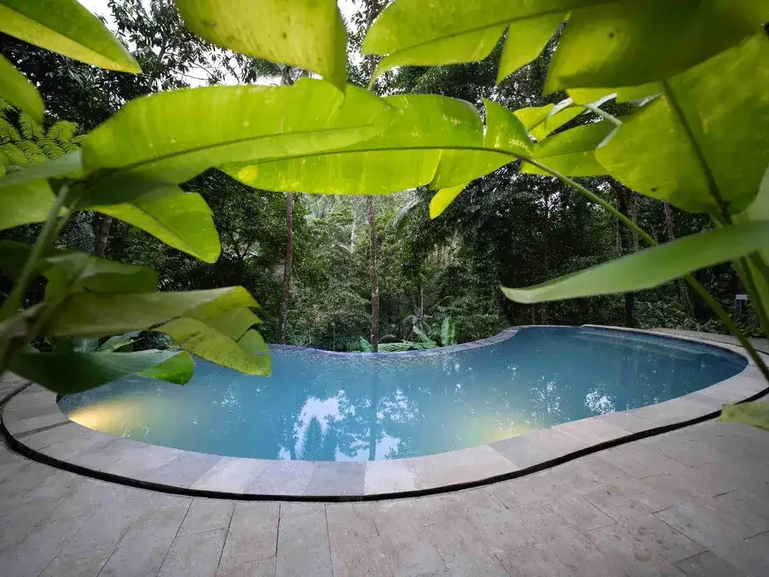 diswakan villa exotik susana alam bali harian mingguan sampai tahunan di tabanan - Image 5 of 10
