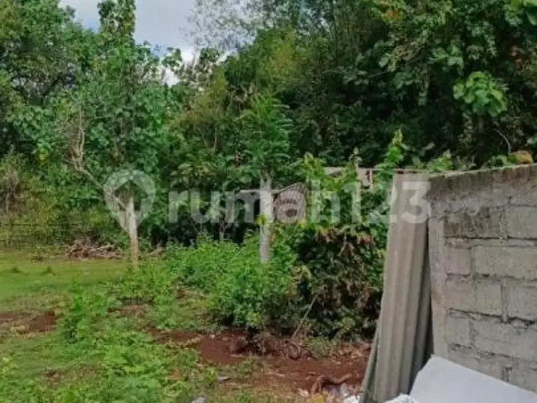 Dikontrakkan Tanah Sangat Strategis di Jimbaran - Image 3 of 5