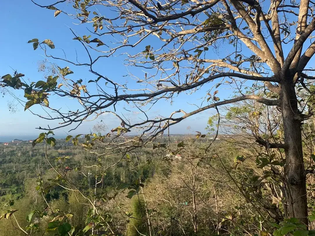 Dijual Tanah View Laut Padang-Padang Pecatu - Image 10 of 10