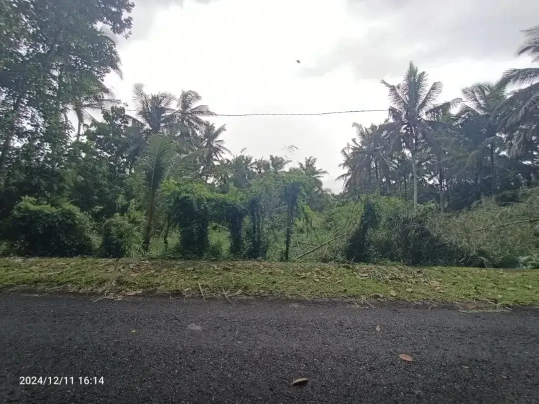 Tanah Zona Kuning Tidak LSD di Mambang Tabanan Bali - Image 2 of 3
