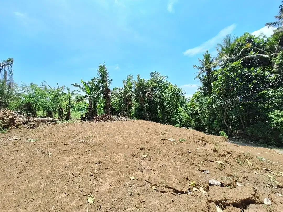 Tanah Disewakan atau Dijual  Dekat Pantai di Permata Pering - Saba - Image 3 of 10
