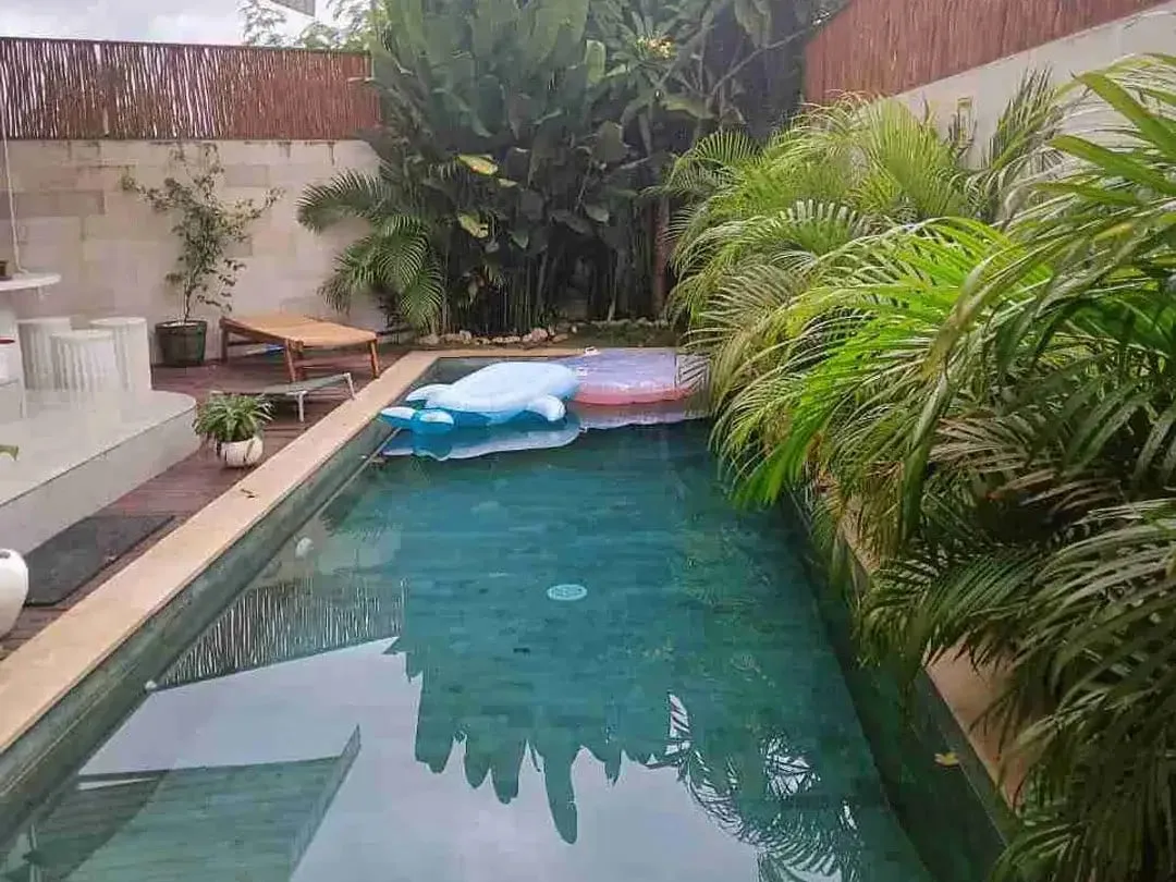 DIJUAL VILLA DI CANGGU AREA - Image 2 of 5