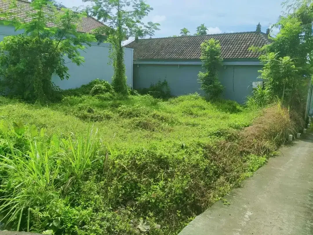 Scenic 2 Are Leasehold Land in Ubud with Rice Field View - Image 10 of 10